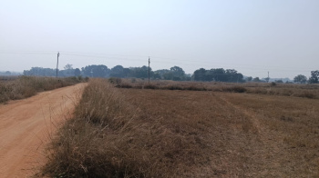  Agricultural Land for Sale in Pithora, Mahasamund