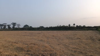  Agricultural Land for Sale in Arang, Raipur