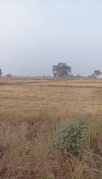  Agricultural Land for Sale in Naya Raipur, Raipur