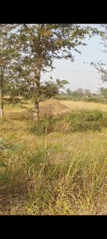  Residential Plot for Sale in Dhamtari, Balod