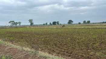  Agricultural Land for Sale in Berla, Bemetara