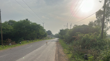  Agricultural Land for Sale in Berla, Bemetara