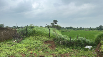  Industrial Land for Sale in Chakarbhatha, Bilaspur