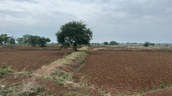  Industrial Land for Sale in Pamgarh, Janjgir-Champa