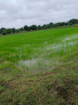  Agricultural Land for Sale in Nawagarh, Bemetara