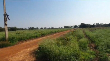  Agricultural Land for Sale in Kurud, Dhamtari