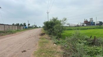  Agricultural Land for Sale in Tilda, Raipur