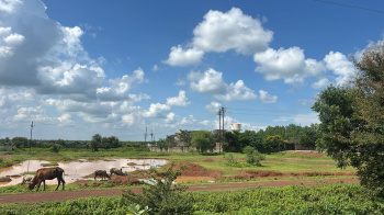  Agricultural Land for Sale in Arang, Raipur
