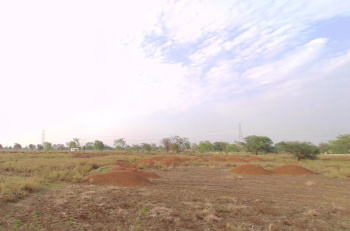  Industrial Land for Sale in Tilda, Raipur