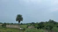 Agricultural Land for Sale in Siltara, Raipur