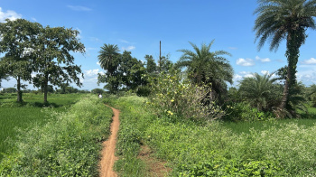  Agricultural Land for Sale in Baloda Bazar, Raipur
