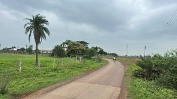  Agricultural Land for Sale in Gogaon, Raipur