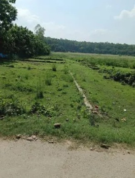  Agricultural Land for Sale in Kachna, Raipur