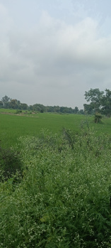  Agricultural Land for Sale in Baronda Road, Raipur