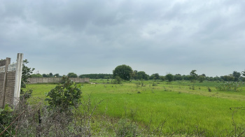  Commercial Land for Sale in Simga, Baloda Bazar, Raipur