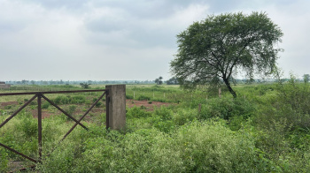 Agricultural Land for Sale in Mandir Hasaud, Raipur
