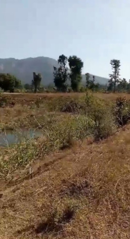 Mungeli Road, Bilaspur photo 2