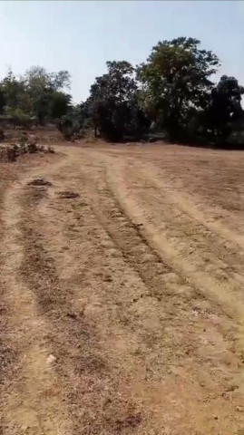 Mungeli Road, Bilaspur photo 4