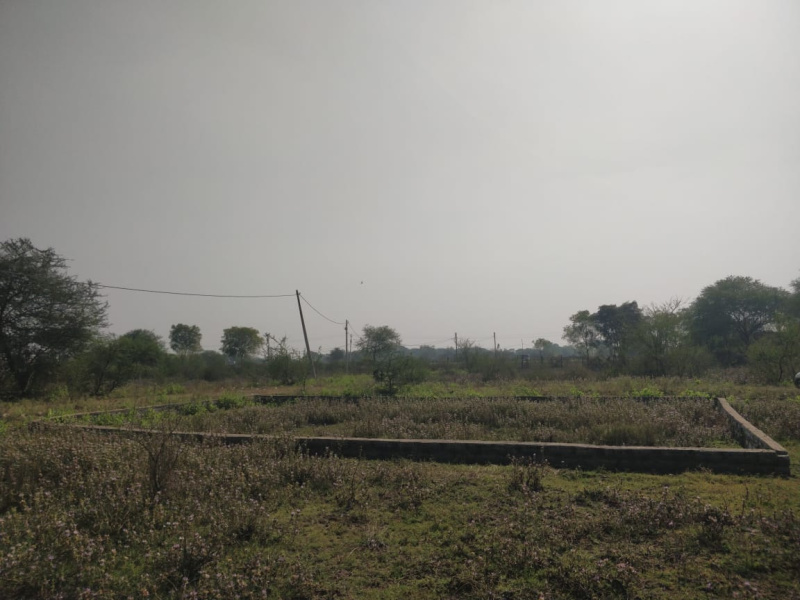 Siltara, Raipur photo 2
