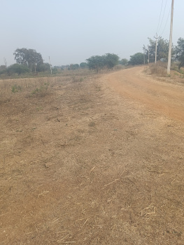  Agricultural Land for Sale in Mandir Hasaud, Raipur