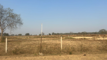  Agricultural Land for Sale in Khamadi, Raipur