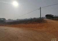 Agricultural Land for Sale in Dola, Shahdol