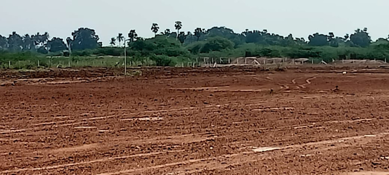  Agricultural Land 9 Acre for Sale in Allithurai, Tiruchirappalli