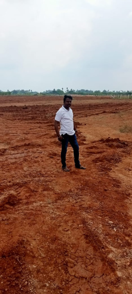  Agricultural Land 9 Acre for Sale in Allithurai, Tiruchirappalli