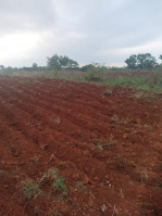  Residential Plot for Sale in Arkalgud, Hassan