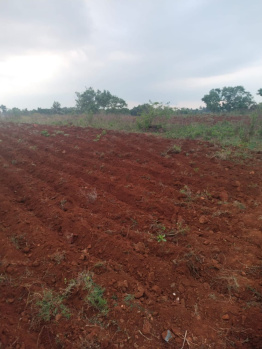  Residential Plot for Sale in Arkalgud, Hassan