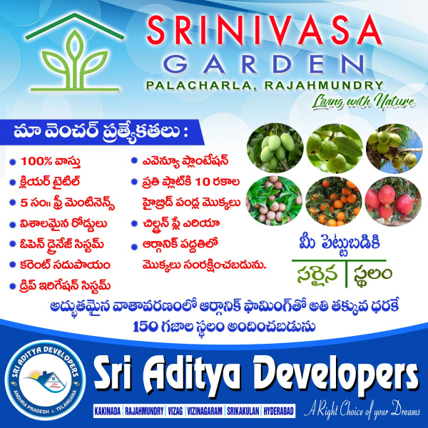  Residential Plot 150 Sq. Yards for Sale in Diwancheruvu, Rajahmundry