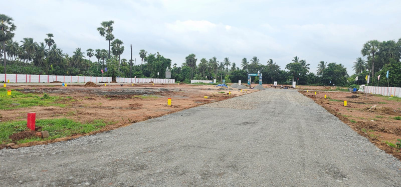  Residential Plot 150 Sq. Yards for Sale in Pithapuram, East Godavari