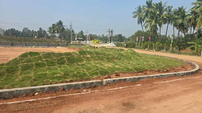  Residential Plot 180 Sq. Yards for Sale in Hukumpeta, Rajahmundry