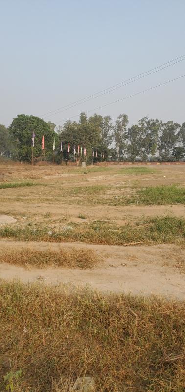  Residential Plot 110 Sq. Yards for Sale in Hathin, Palwal