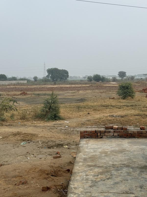  Residential Plot 121 Sq. Yards for Sale in Hathin, Palwal