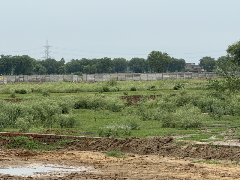  121 Sq. Yards Residential Plot for Sale in Hathin, Palwal
