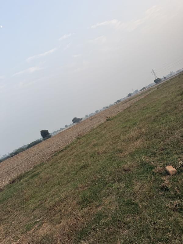  121 Sq.ft. Residential Plot for Sale in Sector 14 Palwal