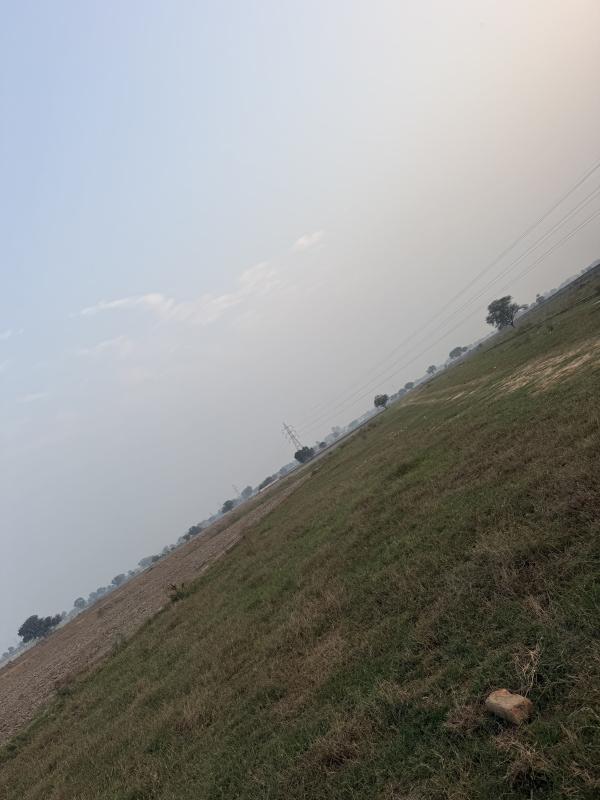  121 Sq.ft. Residential Plot for Sale in Sector 14 Palwal