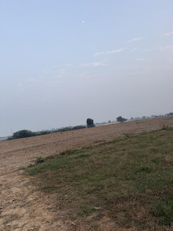  121 Sq.ft. Residential Plot for Sale in Sector 14 Palwal