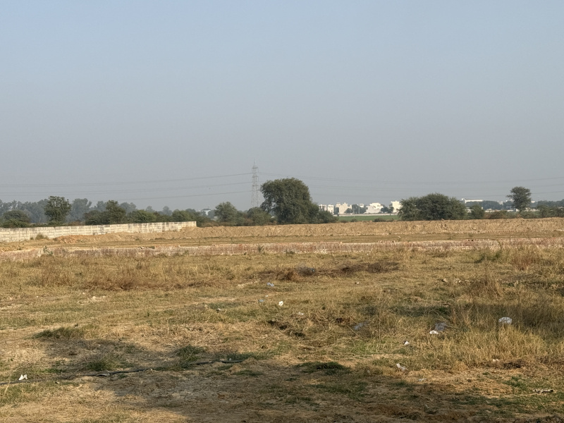  121 Sq. Yards Residential Plot for Sale in Hathin, Palwal