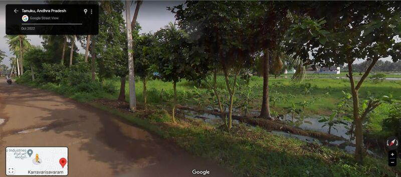  Agricultural Land 2 Acre for Sale in Teachers Colony, Tanuku, West Godavari