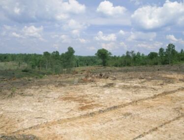  Commercial Land 3 Acre for Sale in Gobindpur, Dhanbad