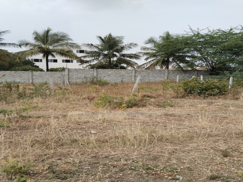 1410 Sq.ft. Residential Plot for Sale in Basaweshwara Layout, Chandra