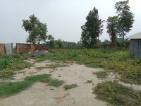  Residential Plot for Sale in Batraha, Saharsa