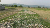  Residential Plot for Sale in Gajiwali, Haridwar