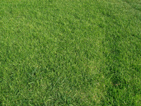  Residential Plot for Sale in Thalambur, Chennai