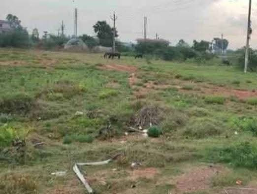  1100 Sq. Yards Commercial Land for Sale in Jagannaickpur, Kakinada