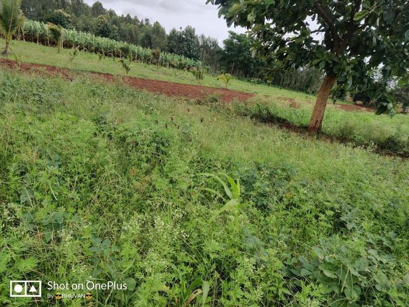 Agricultural Land 3 Acre for Sale in Varuna, Mysore