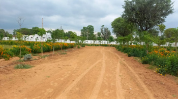  13 Bigha Agricultural/Farm Land for Sale in Kherli, Alwar