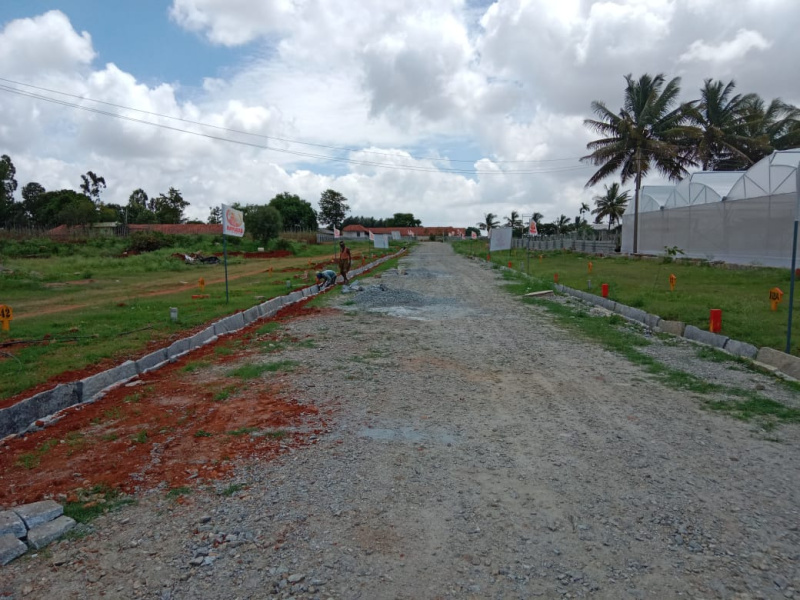  Residential Plot 1200 Sq.ft. for Sale in Jigani Road, Bangalore